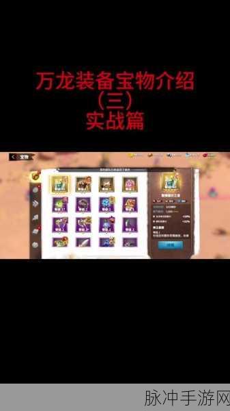 万龙觉醒宝物获取秘籍大公开