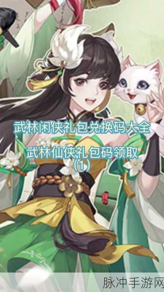 武林闲侠兑换码全揭秘，畅享江湖之旅