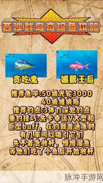 欢乐钓鱼大师，赚钱秘籍大揭秘