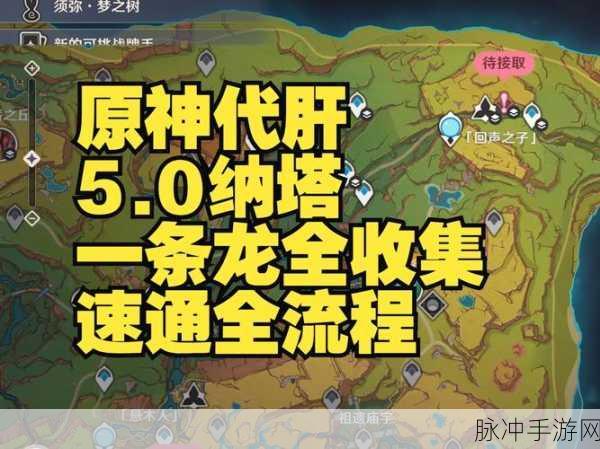 遗迹 2 万古地下室灵魂火种精确位置全攻略