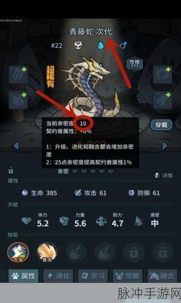 提灯与地下城，打造最强契约兽搭配秘籍