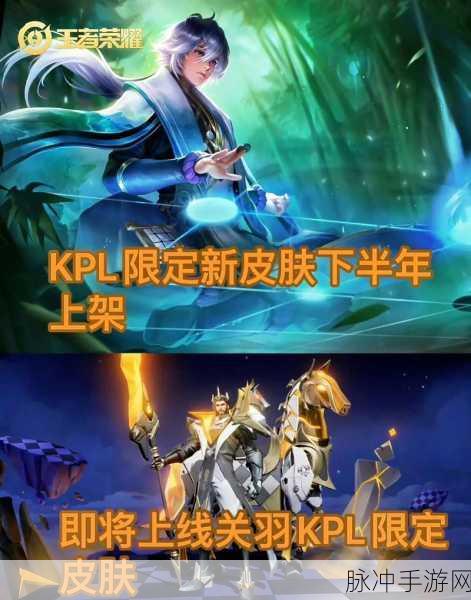 王者荣耀关羽 KPL 皮肤价格及相关解析