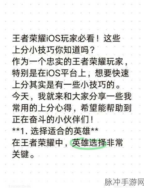 王者荣耀，荣耀选手的炼成秘籍