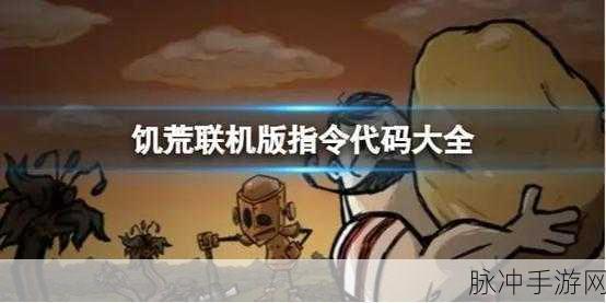 饥荒手游，指令代码全解析与使用指南