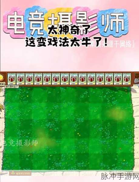 鸡械绿洲中玩转火鸡炮台的秘诀大公开