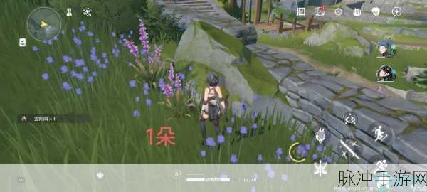 鸣潮金阳凤获取全攻略 你不可错过
