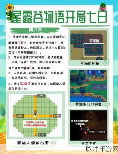 星露谷物语中罗宾位置全解析