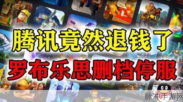 罗布乐思国服添加与删除好友的详尽指南