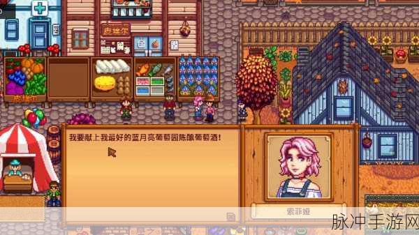 星露谷物语展览会，物品归属之谜