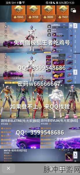 和平精英，QQ 土豪账号密码大揭秘与游戏攻略