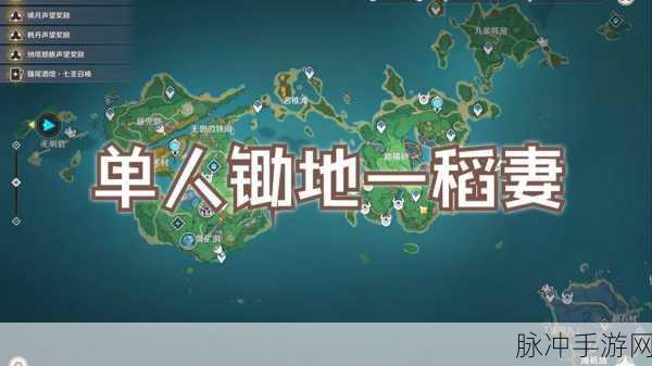 原神稻妻跑图必备，高效锄地阵容大揭秘