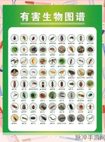 小森生活储虫箱使用秘籍，轻松玩转虫虫世界