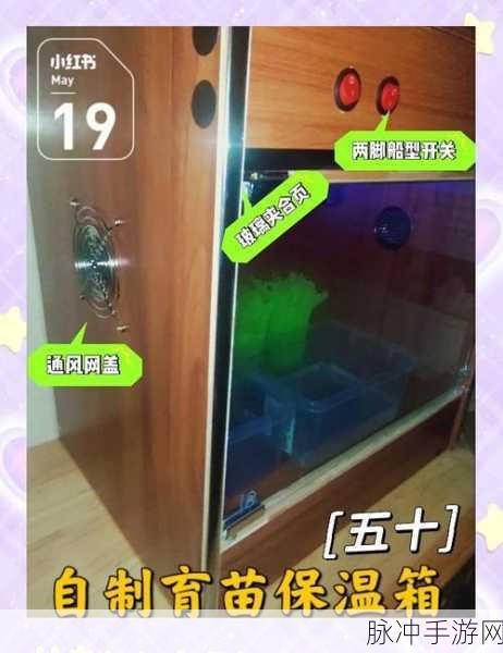 小森生活储虫箱使用秘籍，轻松玩转虫虫世界