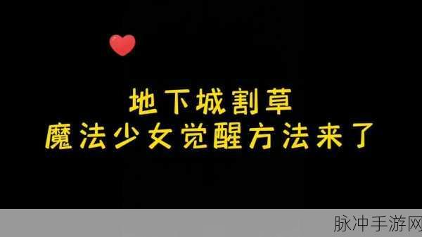 地下城割草魔法少女觉醒秘籍大公开