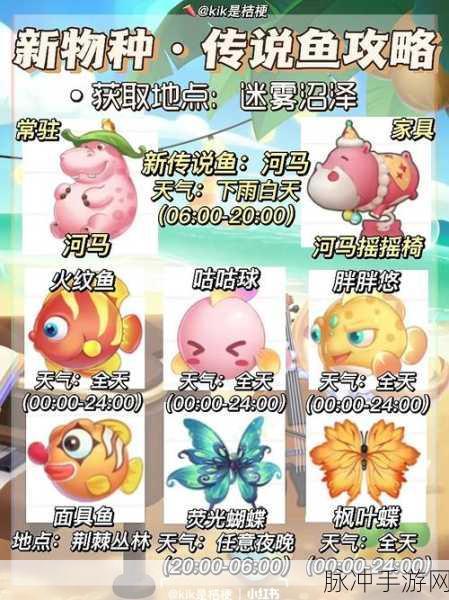 摩尔庄园手游，迷雾沼泽通关后的精彩玩法