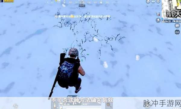 雪地迷踪，刺激战场雪域作战误区全解析