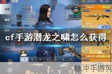CF 手游，潜龙之啸与龙啸的深度剖析及属性全解