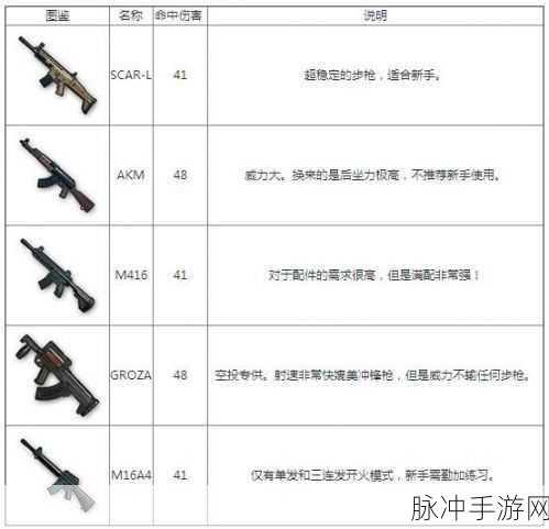 绝地求生手游新版本命中与武器伤害全解析