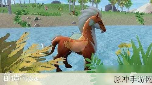 创造与魔法，轻松拿下灰马的秘诀