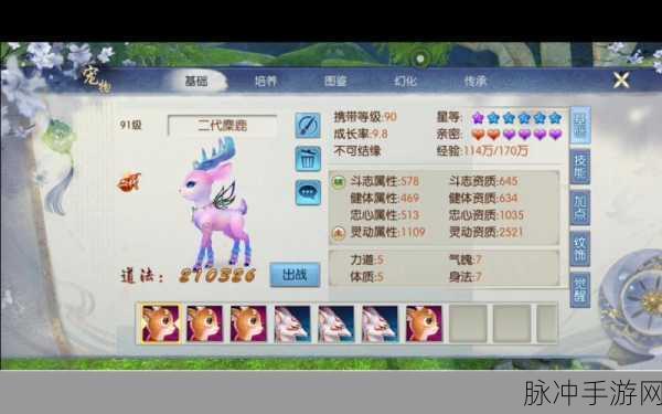 诛仙手游宠物技能探秘，全方位解析与获取指南