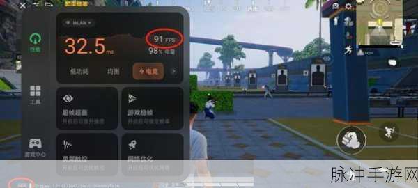 和平精英 90 帧的起伏之谜，手游体验深度剖析