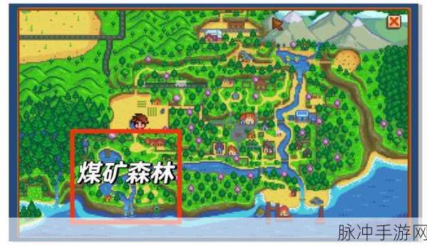 星露谷物语，探索神秘森林的终极指南