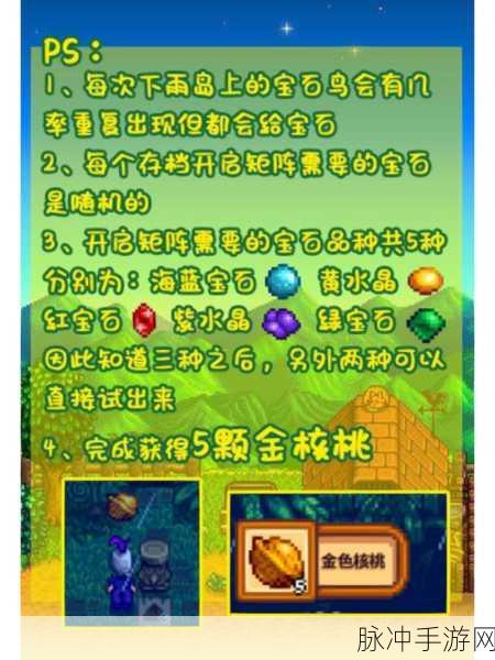 星露谷物语姜岛金核桃探寻秘籍大公开