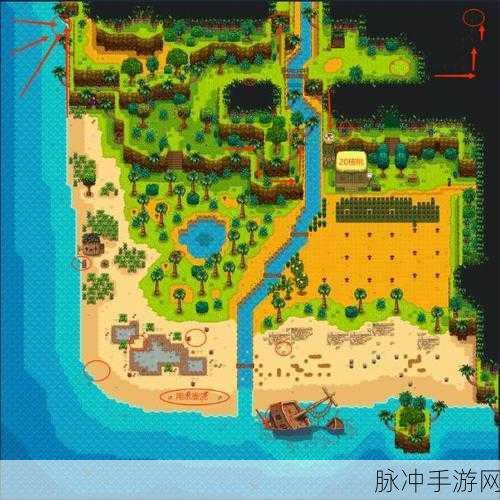 星露谷物语姜岛金核桃探寻秘籍大公开
