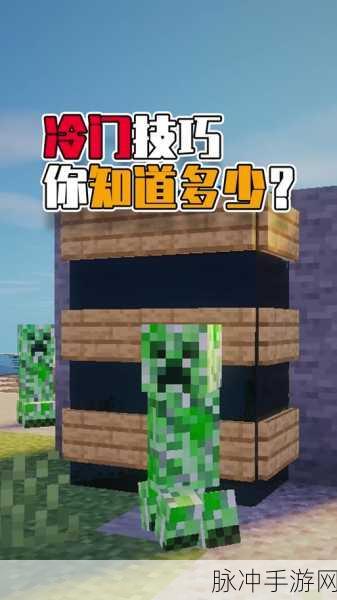 我的世界手机版，看不见告示牌文字之谜与解决之道