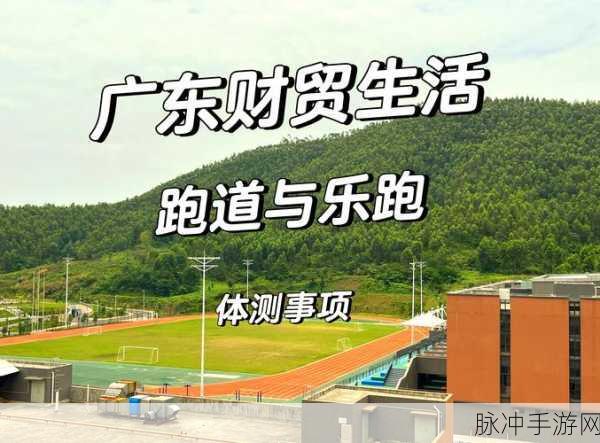 运动世界校园，携手共跑秘籍大公开