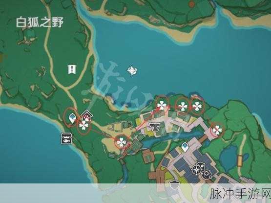 原神神里突破必备，绯樱绣球全位置解析