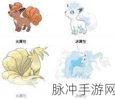 宝可梦大集结，阿罗拉九尾超神上分秘籍