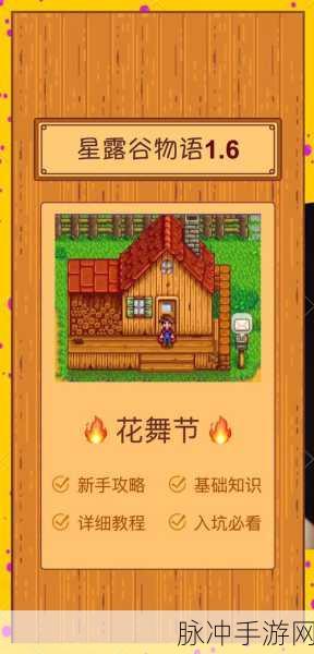 星露谷物语花舞节的神秘地点与精彩玩法