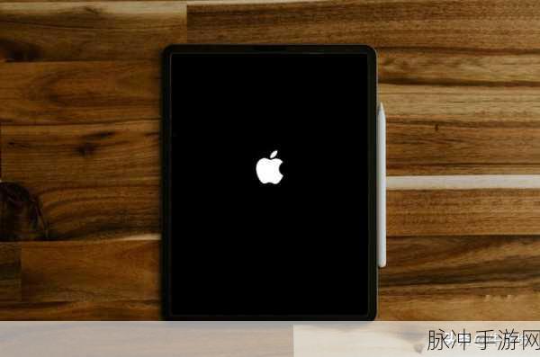 解决 iPad 开机无限循环白苹果，畅玩手游不再愁