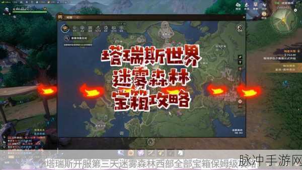 塔瑞斯世界迷雾森林宝箱全揭秘