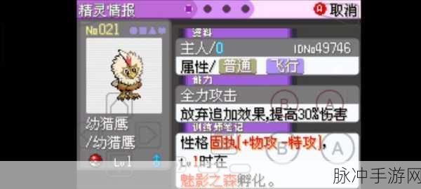 口袋妖怪复刻，铁壳昆性格深度剖析与推荐指南