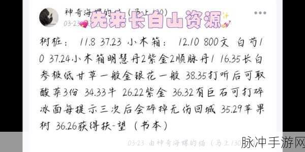 烟雨江湖长白山宝藏支线全攻略指南