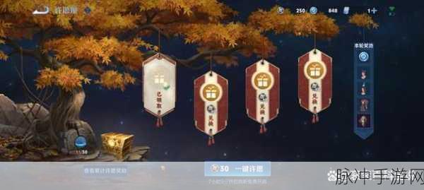 王者荣耀星元皮肤获取与使用全指南