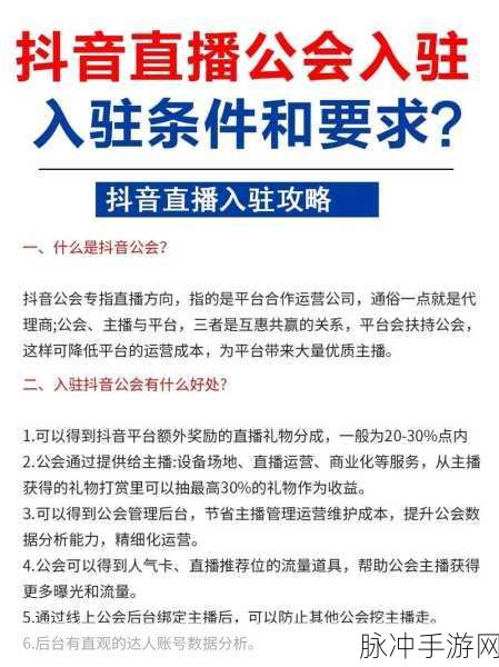 抖音粉丝群申请无回应？手游公司为您解惑