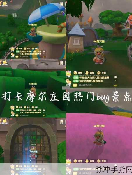 摩尔庄园内测经验大揭秘，助你畅玩无忧