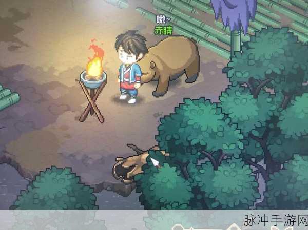 大侠立志传，留住妙音坊与苗彩蝶的秘籍