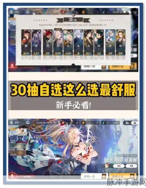 白荆回廊，预抽卡伙伴抉择指南