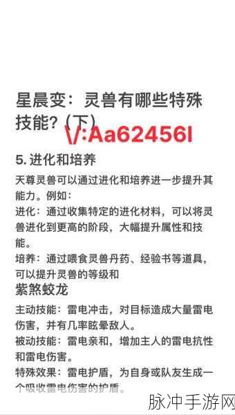 星辰变手游，灵兽潜能挖掘指南，战力飞升秘籍