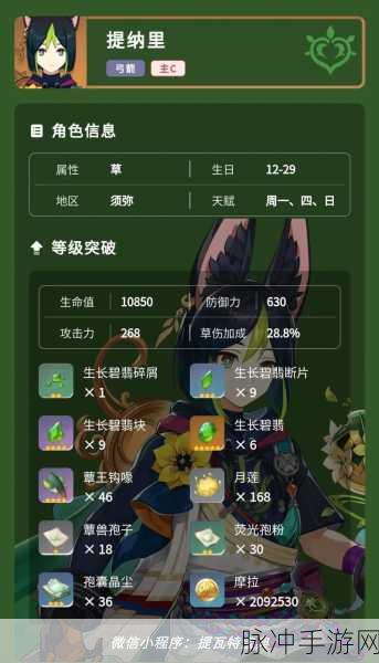 原神提纳里命座提升全方位解析