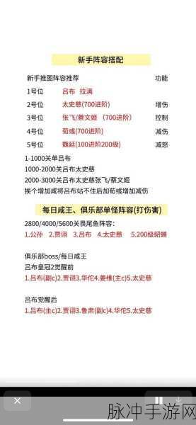 咸鱼之王，无敌阵容搭配秘籍 速通关卡不是梦