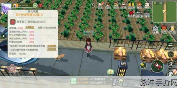 小森生活冬瓜烧肉配方大揭秘 畅玩美食之旅