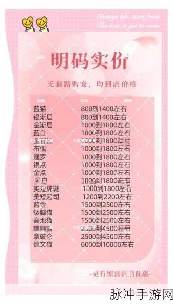 天下手游，非土豪玩家的宠物选宠秘籍