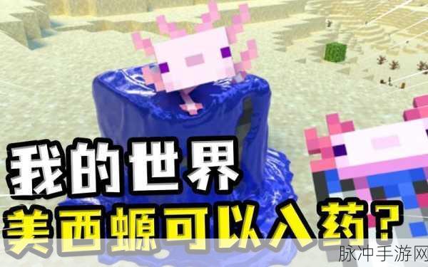 我的世界手游，获取蓝色美西螈全攻略