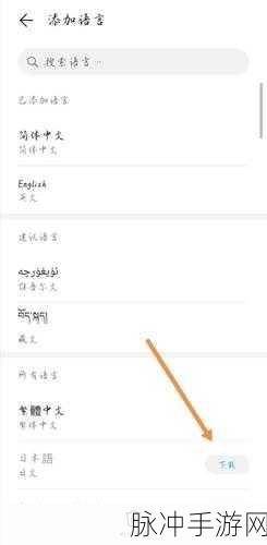 华为手机黑白变彩秘籍，畅玩手游无阻碍