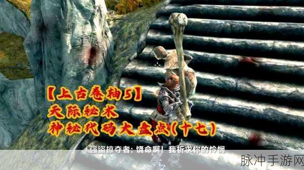 上古卷轴 5 手游，神秘代码与海量技能解析